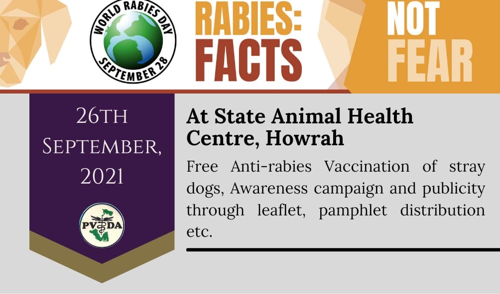 Rabies day event 2021