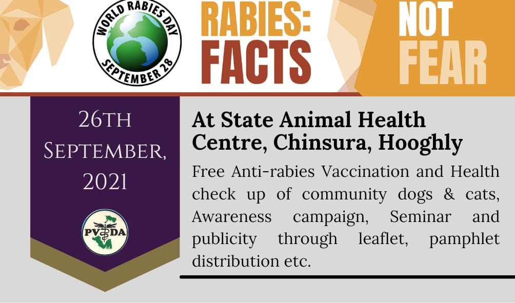Rabies day event 2021