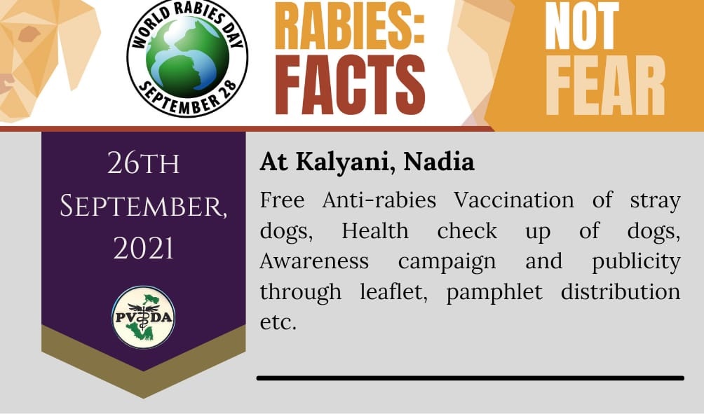 Rabies day event 2021