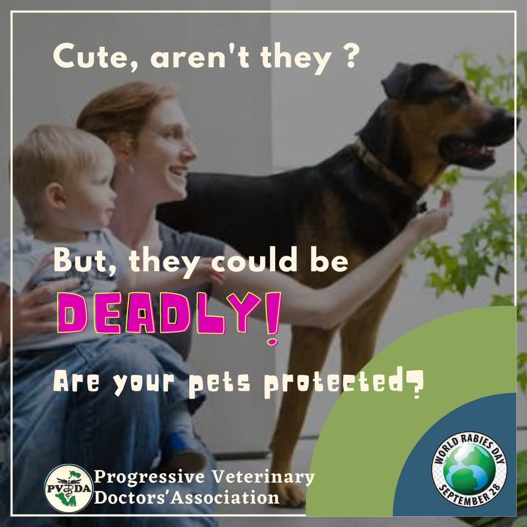 Rabies day 2021