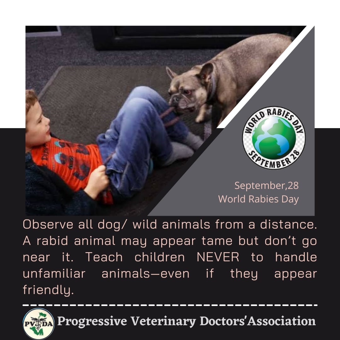 Rabies day 2021