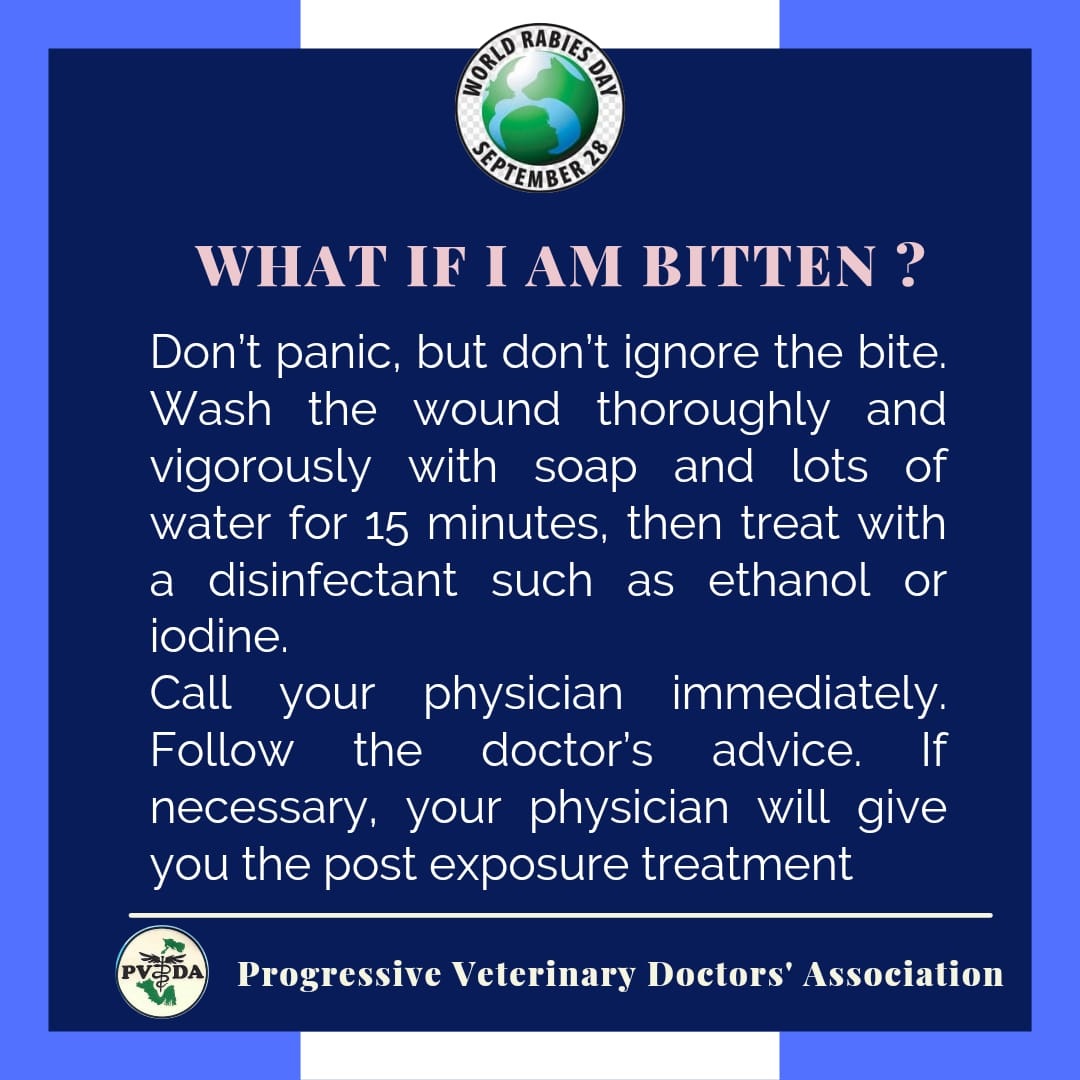 Rabies day 2021