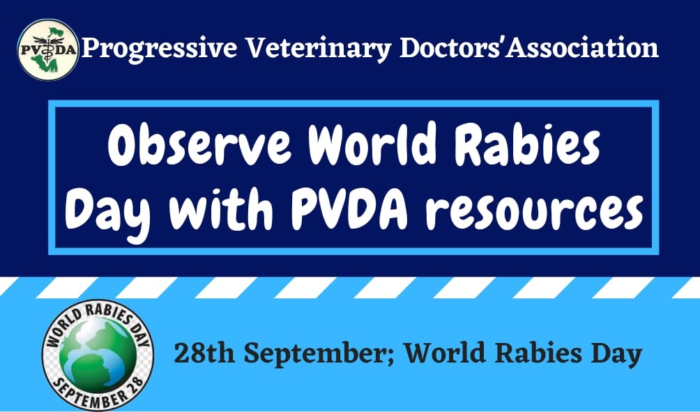Rabies day title